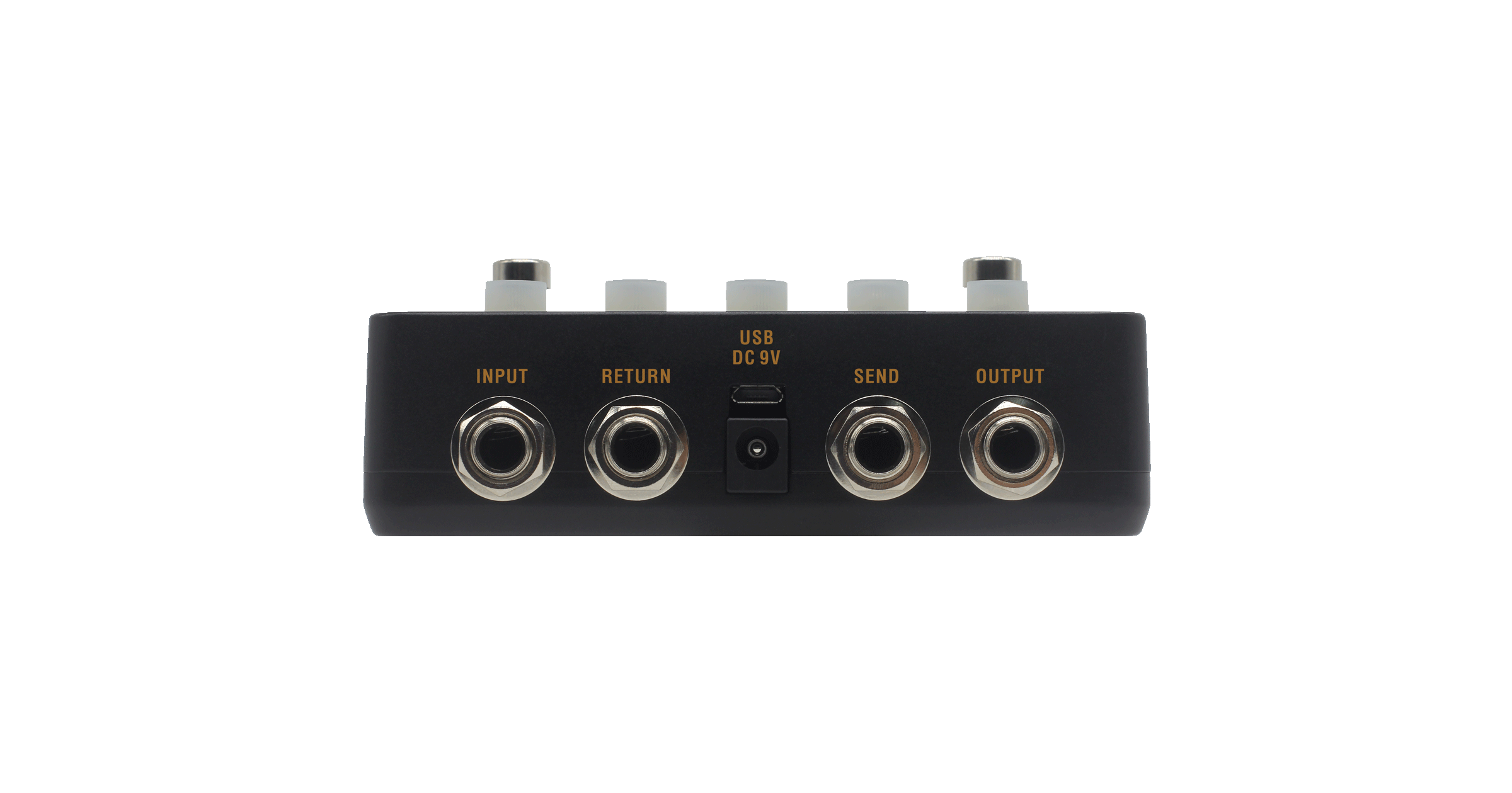 BINARY AMP Back Panel