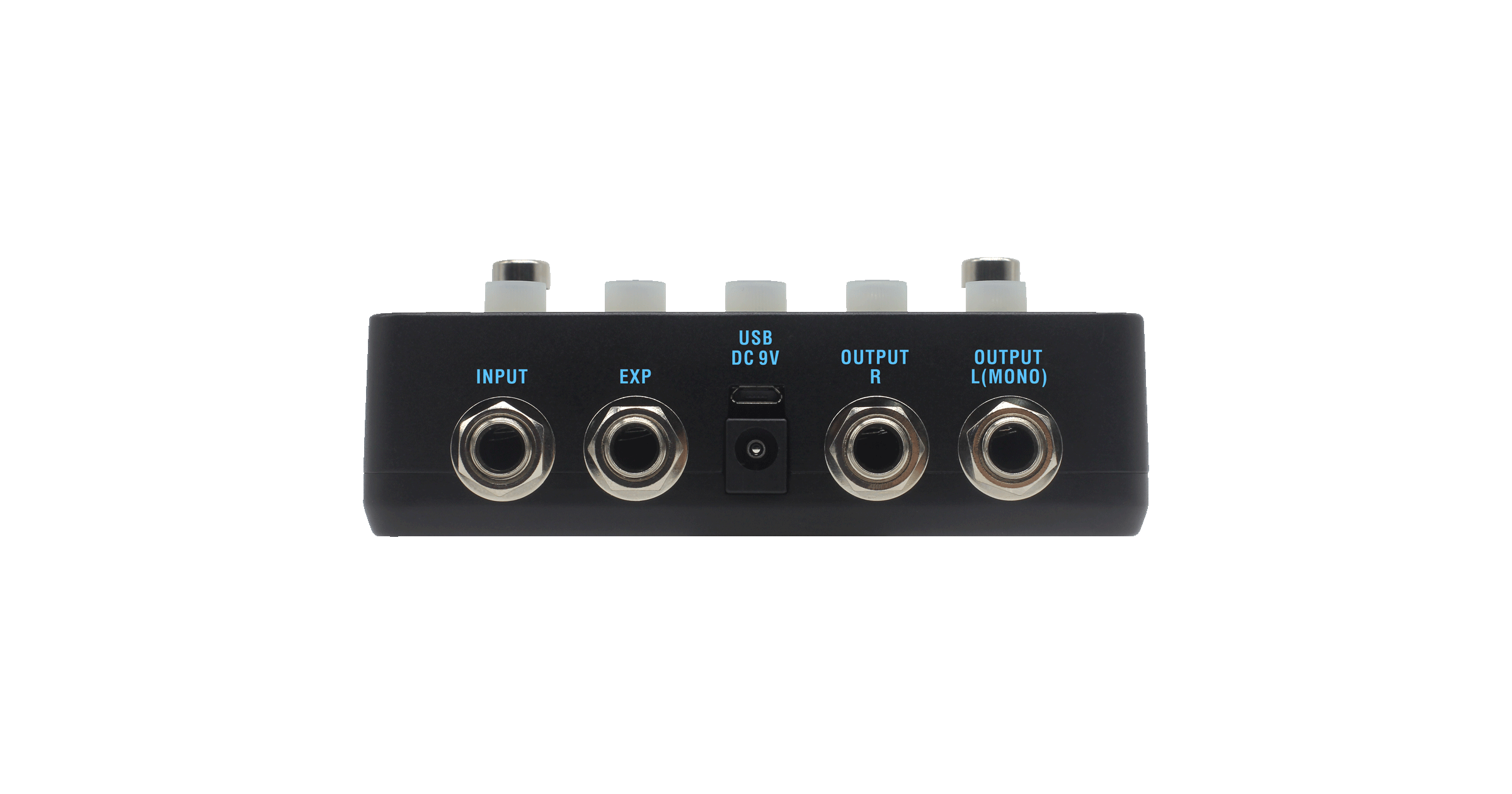 BINARY EKO Back Panel