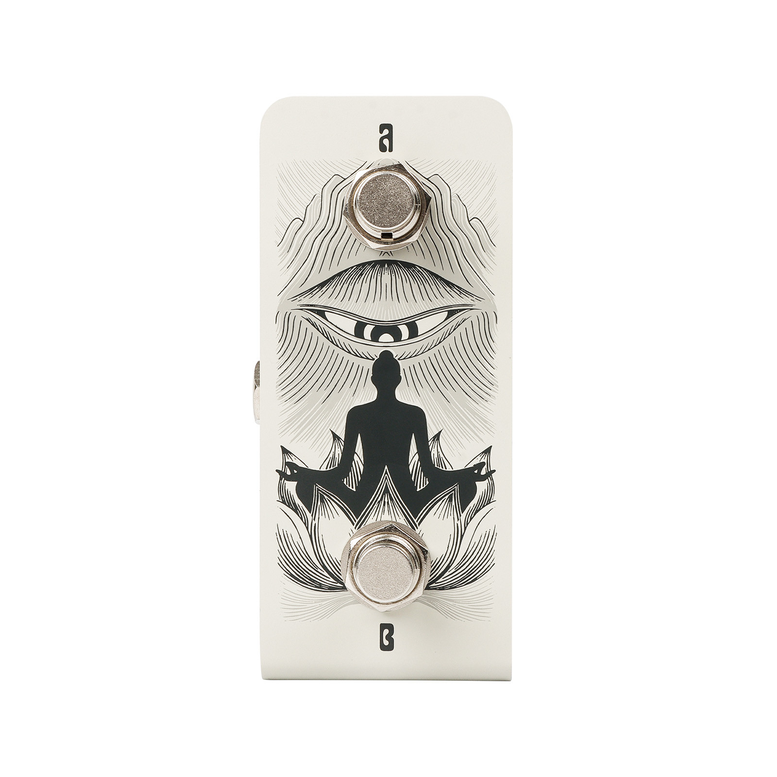 Anima Dual Footswitch controls