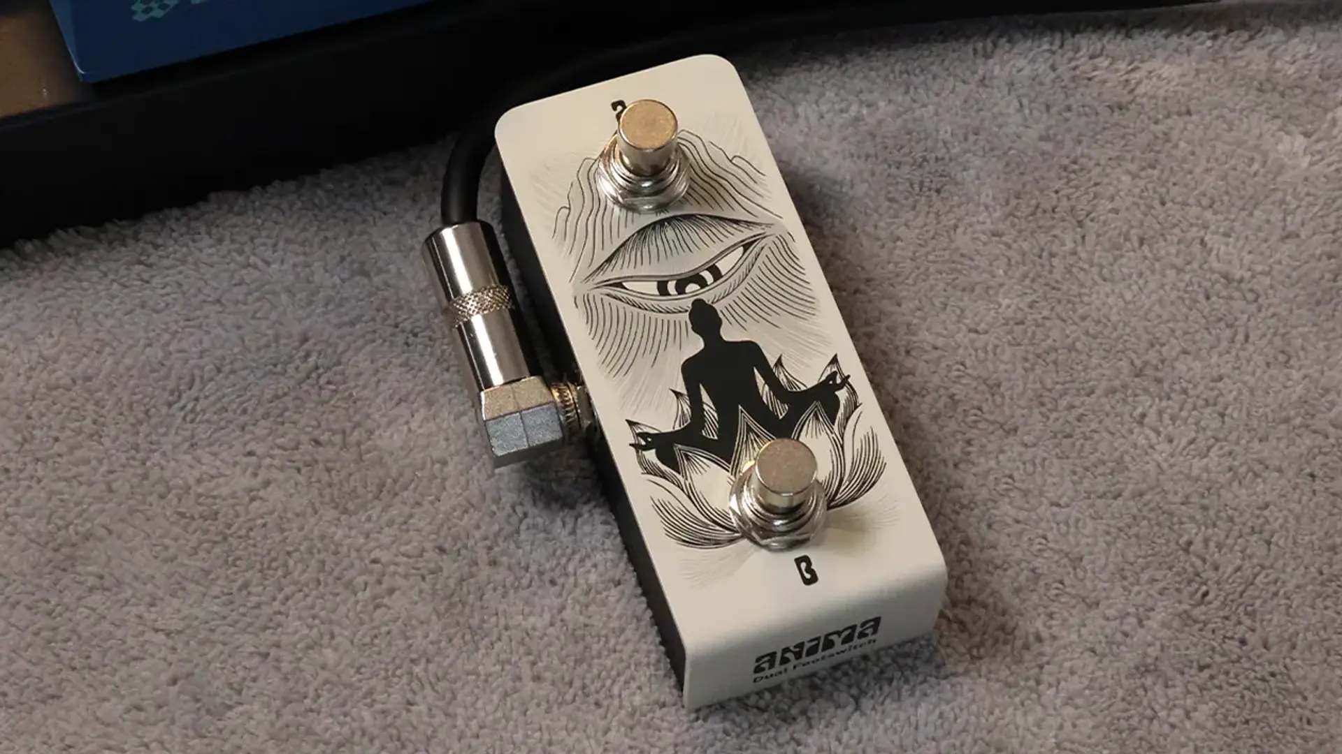 Anima Dual Footswitch