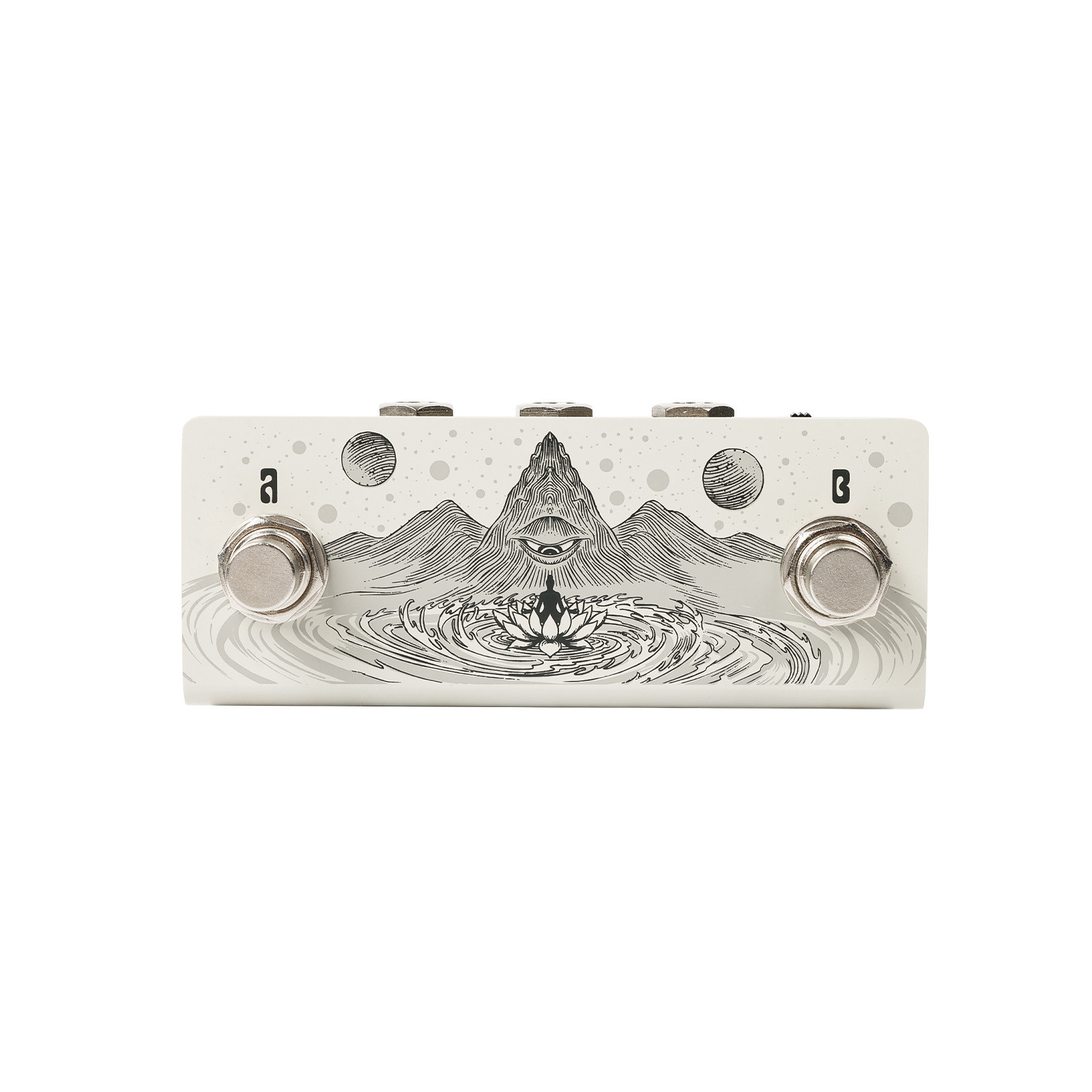 Animus Dual Footswitch controls