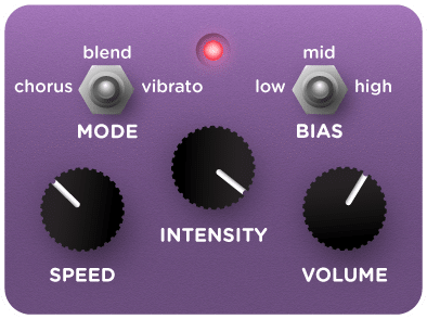 Special Blend