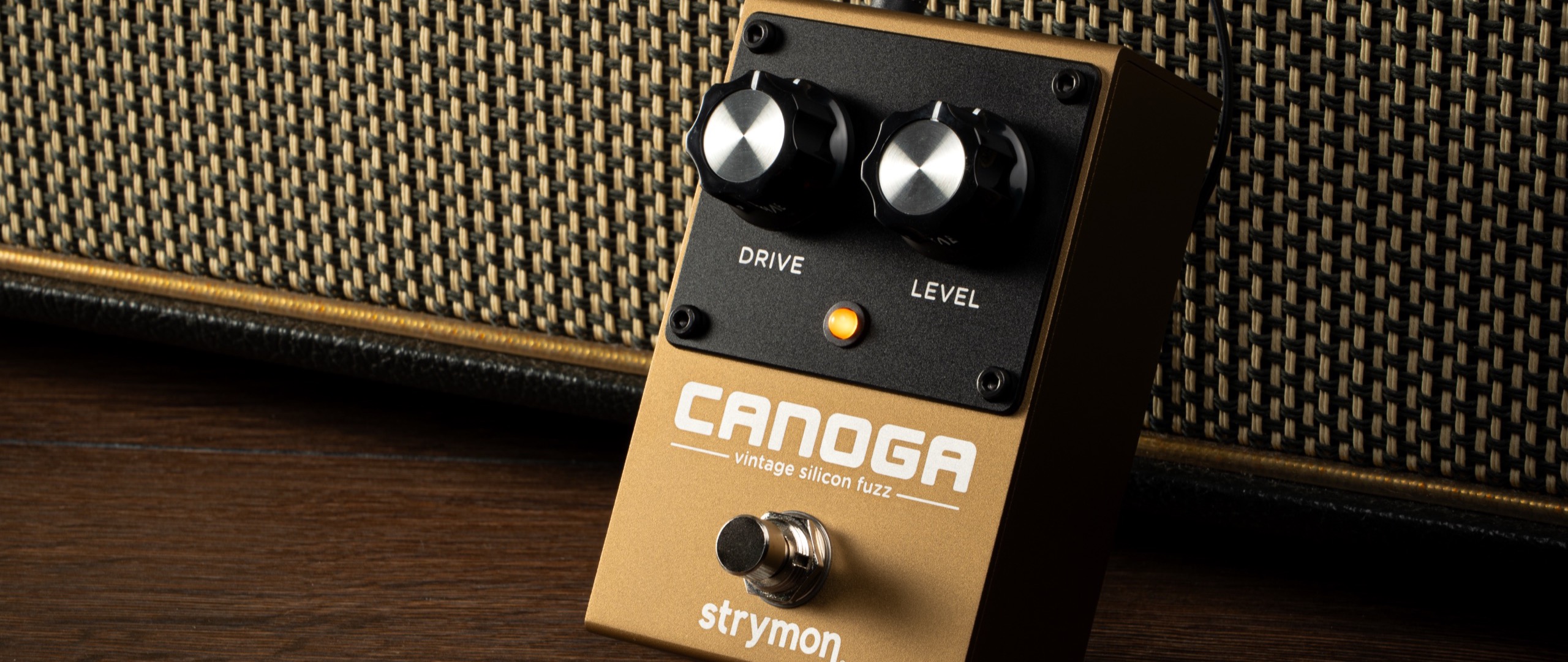 Strymon Canoga