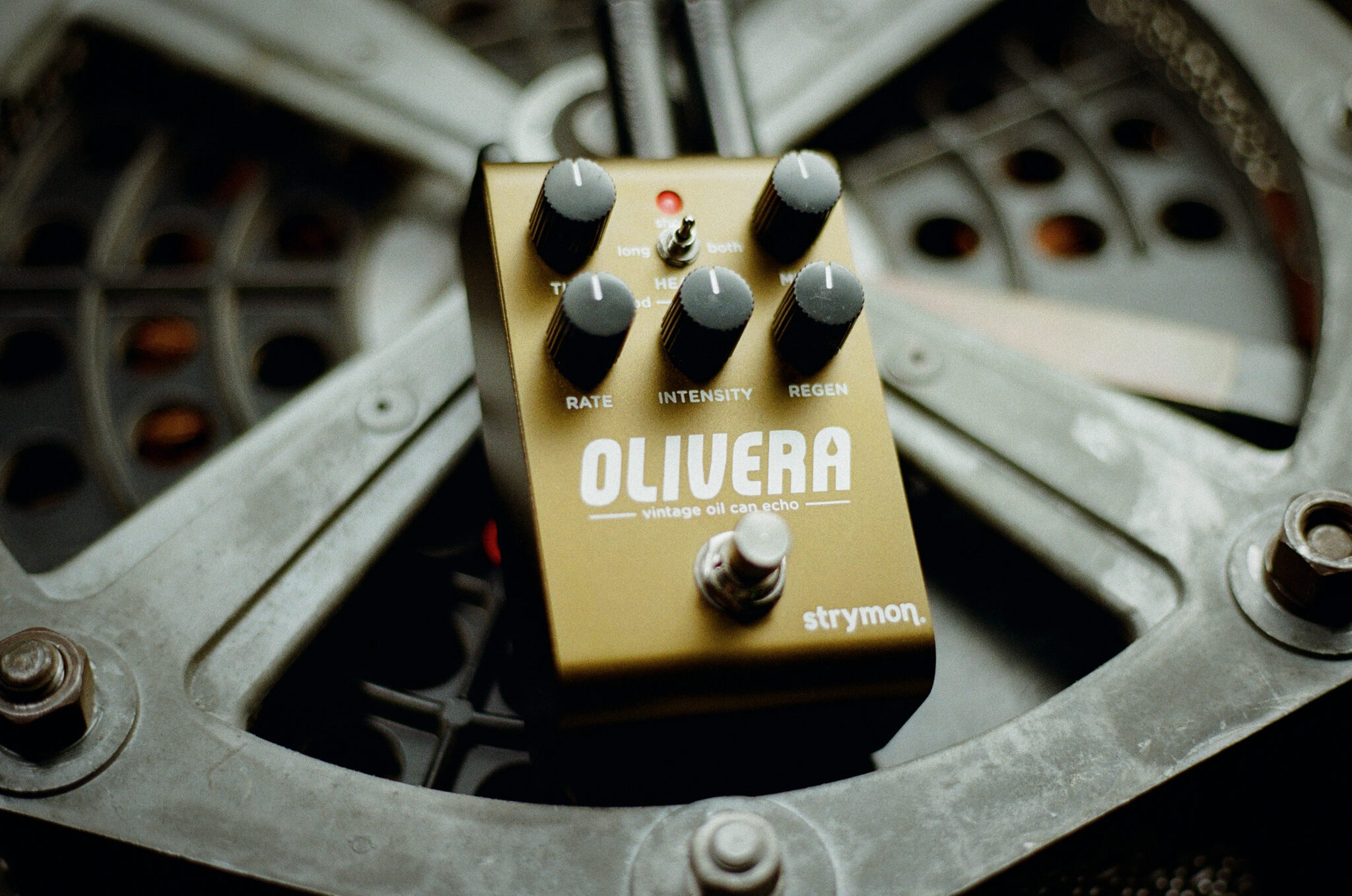 Olivera Concept